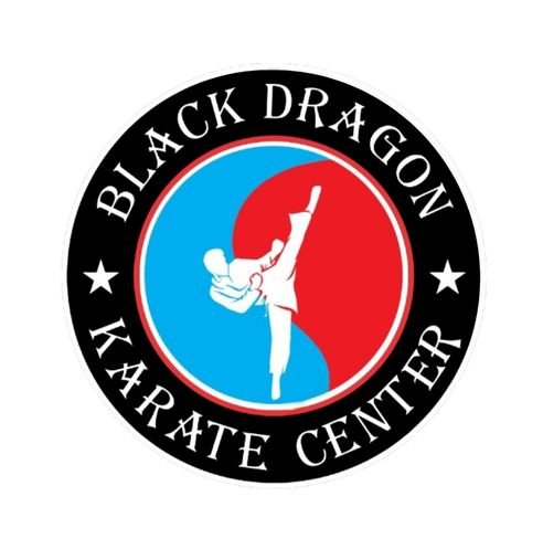 blackdragonkaratecenter.com